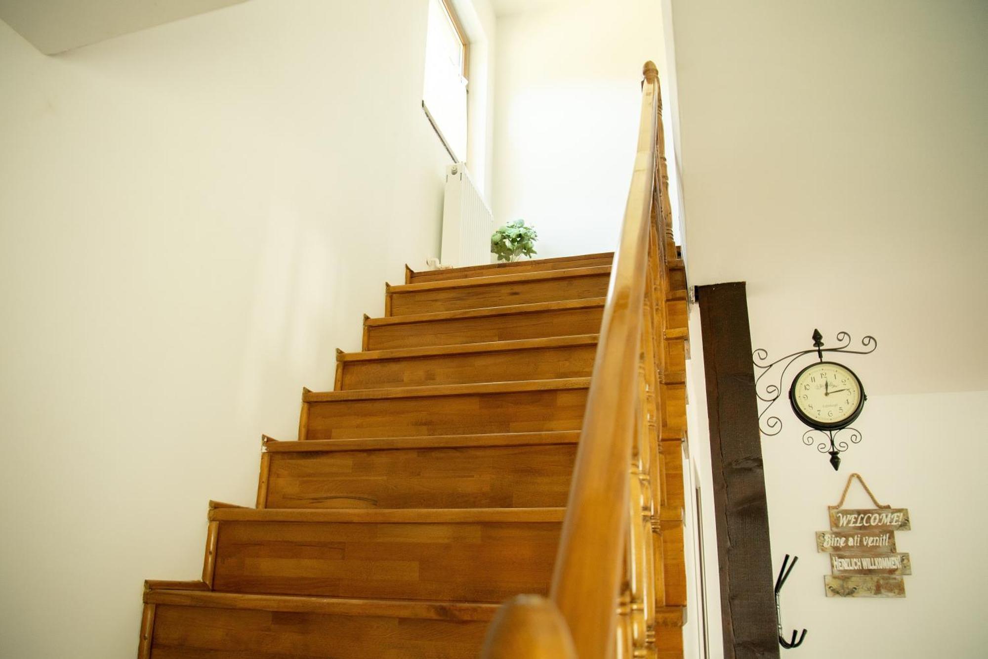 Вилла Casa Valea Prejbei Rau Sadului Экстерьер фото